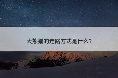大熊猫的走路方式是什么？