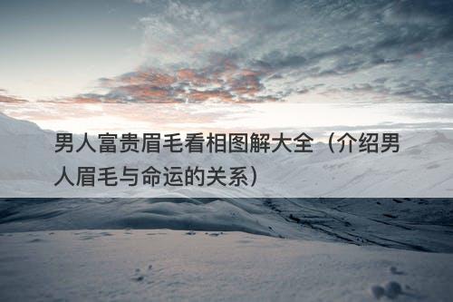 男人富贵眉毛看相图解大全（介绍男人眉毛与命运的关系）