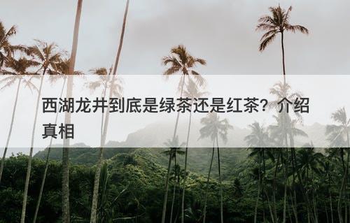 西湖龙井到底是绿茶还是红茶？介绍真相