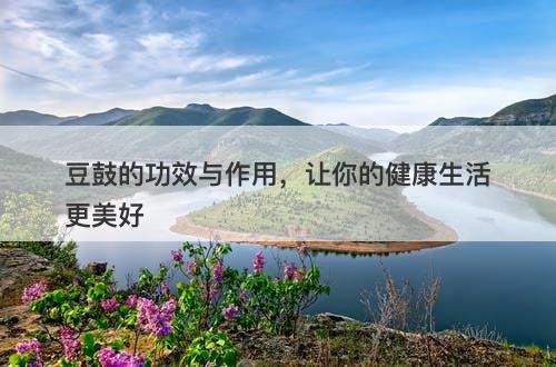 豆鼓的功效与作用，让你的健康生活更美好