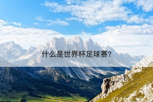 什么是世界杯足球赛？