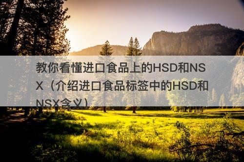 教你看懂进口食品上的HSD和NSX（介绍进口食品标签中的HSD和NSX含义）