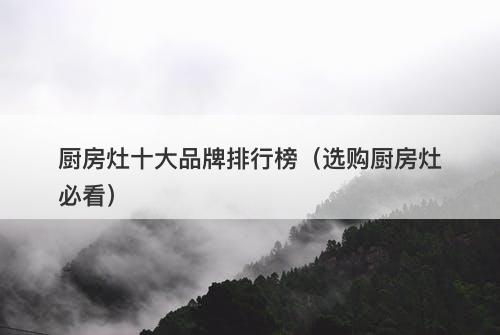 厨房灶十大品牌排行榜（选购厨房灶必看）