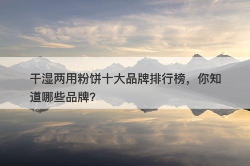 干湿两用粉饼十大品牌排行榜，你知道哪些品牌？