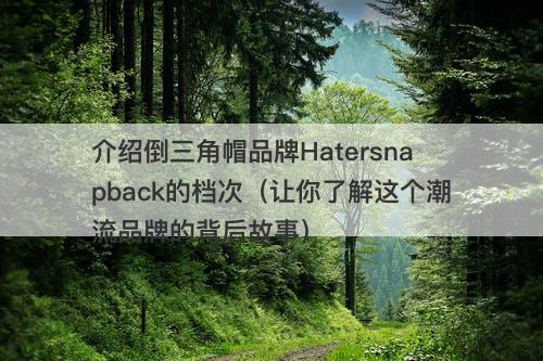 介绍倒三角帽品牌Hatersnapback的档次（让你了解这个潮流品牌的背后故事）
