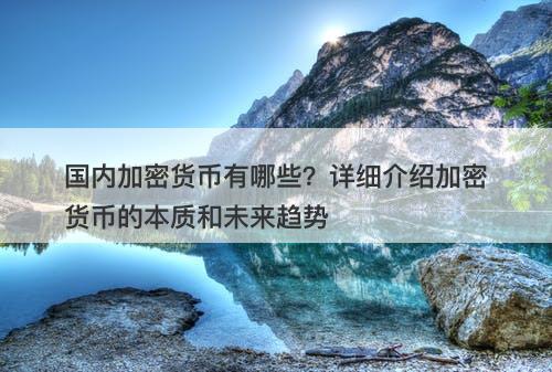 国内加密货币有哪些？详细介绍加密货币的本质和未来趋势