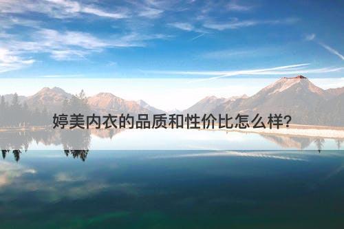 婷美内衣的品质和性价比怎么样？