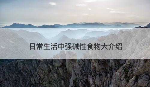 日常生活中强碱性食物大介绍