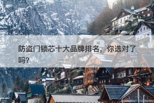 防盗门锁芯十大品牌排名，你选对了吗？