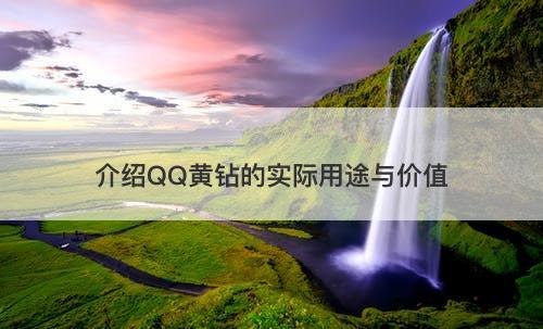 介绍QQ黄钻的实际用途与价值