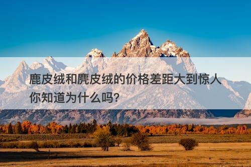 鹿皮绒和麂皮绒的价格差距大到惊人你知道为什么吗？