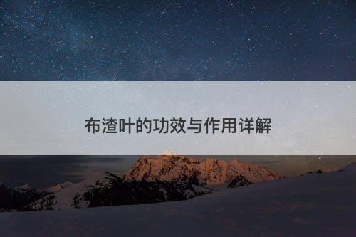 布渣叶的功效与作用详解