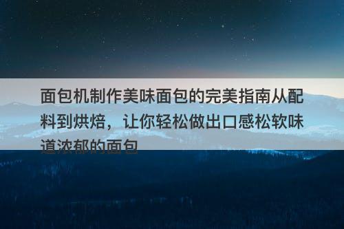 面包机制作美味面包的完美指南从配料到烘焙，让你轻松做出口感松软味道浓郁的面包