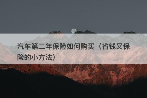 汽车第二年保险如何购买（省钱又保险的小方法）