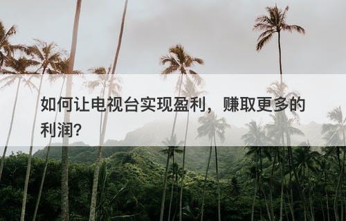如何让电视台实现盈利，赚取更多的利润？