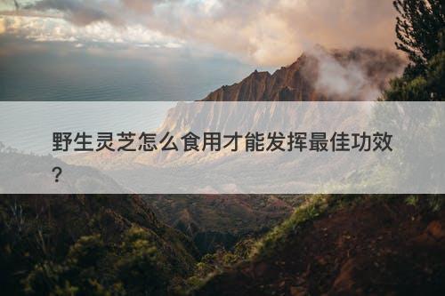 野生灵芝怎么食用才能发挥最佳功效?-图1 野生灵芝怎么食用才能发挥最佳功效?-图1