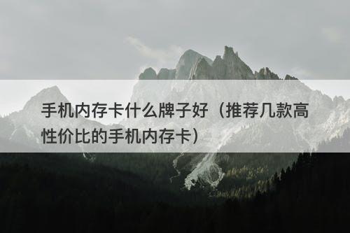 手机内存卡什么牌子好（推荐几款高性价比的手机内存卡）