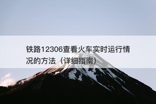 铁路12306查看火车实时运行情况的方法（详细指南）