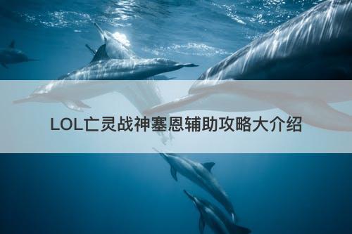 LOL亡灵战神塞恩辅助攻略大介绍