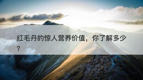 红毛丹的惊人营养价值，你了解多少？