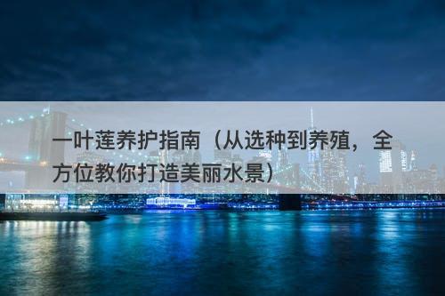 一叶莲养护指南（从选种到养殖，全方位教你打造美丽水景）