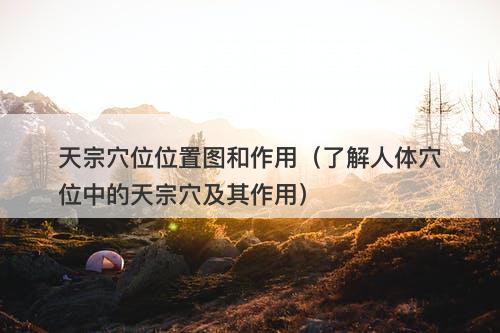 天宗穴位位置图和作用（了解人体穴位中的天宗穴及其作用）