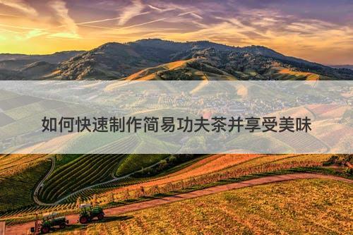 如何快速制作简易功夫茶并享受美味