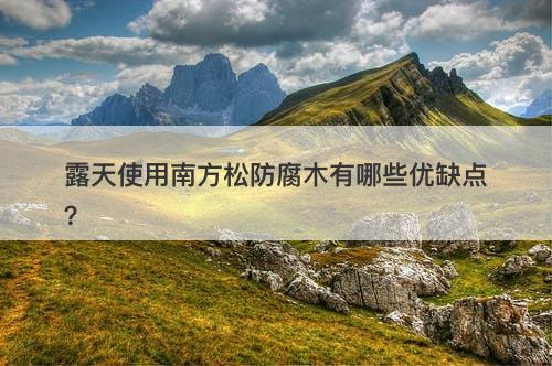露天使用南方松防腐木有哪些优缺点？