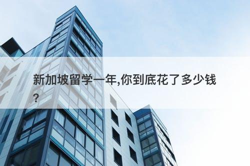 新加坡留学一年,你到底花了多少钱？