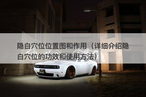 隐白穴位位置图和作用（详细介绍隐白穴位的功效和使用方法）