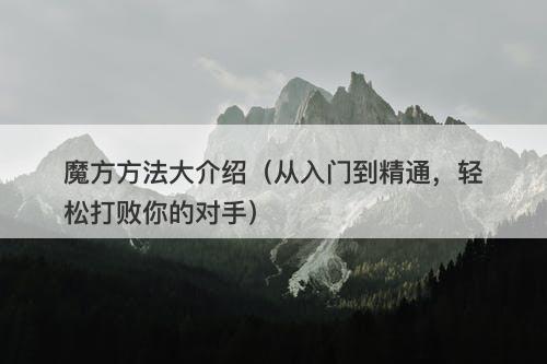 魔方方法大介绍（从入门到精通，轻松打败你的对手）