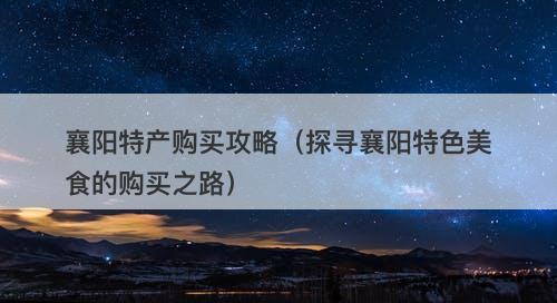 襄阳特产购买攻略（探寻襄阳特色美食的购买之路）