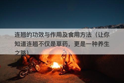 连翘的功效与作用及食用方法（让你知道连翘不仅是草药，更是一种养生之路）