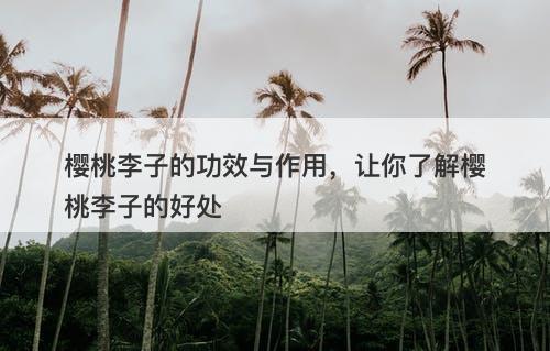 樱桃李子的功效与作用，让你了解樱桃李子的好处