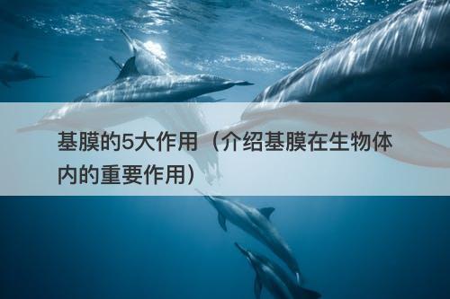 基膜的5大作用（介绍基膜在生物体内的重要作用）
