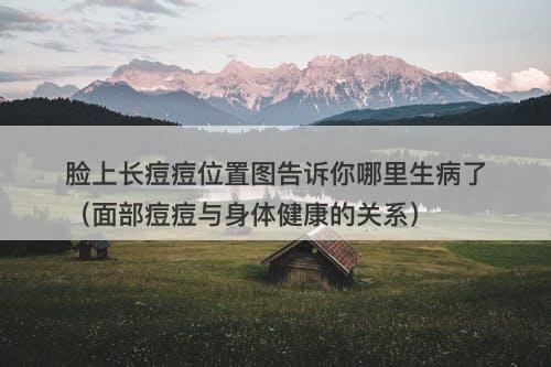 脸上长痘痘位置图告诉你哪里生病了（面部痘痘与身体健康的关系）