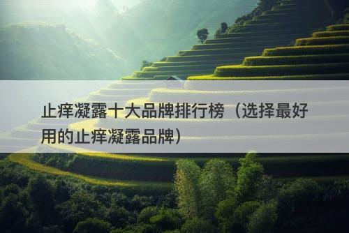 止痒凝露十大品牌排行榜（选择最好用的止痒凝露品牌）