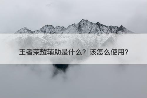 王者荣耀辅助是什么？该怎么使用？