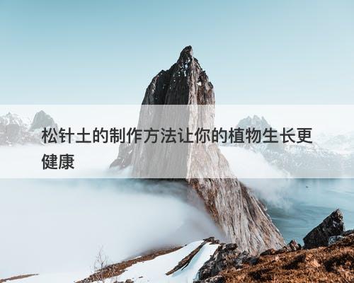 松针土的制作方法让你的植物生长更健康
