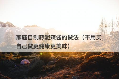 家庭自制蒜泥辣酱的做法（不用买，自己做更健康更美味）