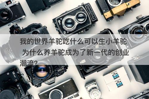 我的世界羊驼吃什么可以生小羊驼  为什么养羊驼成为了新一代的创业潮流？