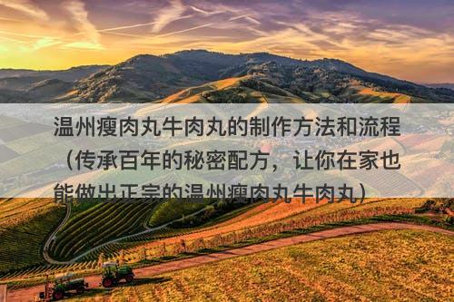 温州瘦肉丸牛肉丸的制作方法和流程（传承百年的秘密配方，让你在家也能做出正宗的温州瘦肉丸牛肉丸）