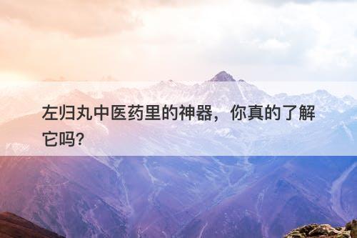 左归丸中医药里的神器，你真的了解它吗？