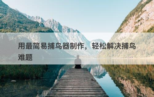 用最简易捕鸟器制作，轻松解决捕鸟难题