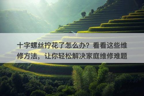十字螺丝拧花了怎么办？看看这些维修方法，让你轻松解决家庭维修难题