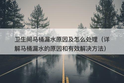 卫生间马桶漏水原因及怎么处理（详解马桶漏水的原因和有效解决方法）