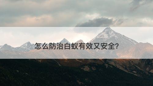 怎么防治白蚁有效又安全？
