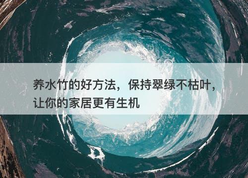 养水竹的好方法，保持翠绿不枯叶，让你的家居更有生机