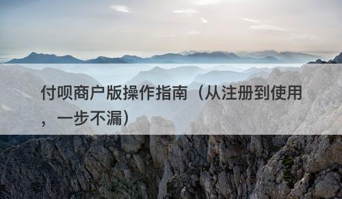 付呗商户版操作指南（从注册到使用，一步不漏）