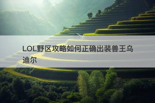 LOL野区攻略如何正确出装兽王乌迪尔